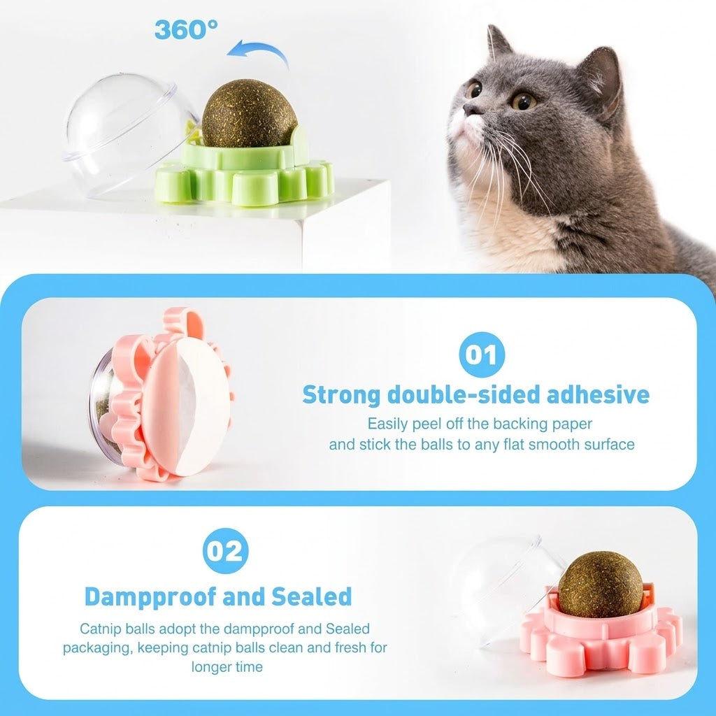 Bola de Catnip Giratoria para Gatos – Base Autoadherible Colores Surtidos