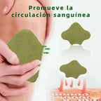 Parches Analgésicos de Ajenjo Natural – Dolor de Espalda y Lumbar, 10 Unidades