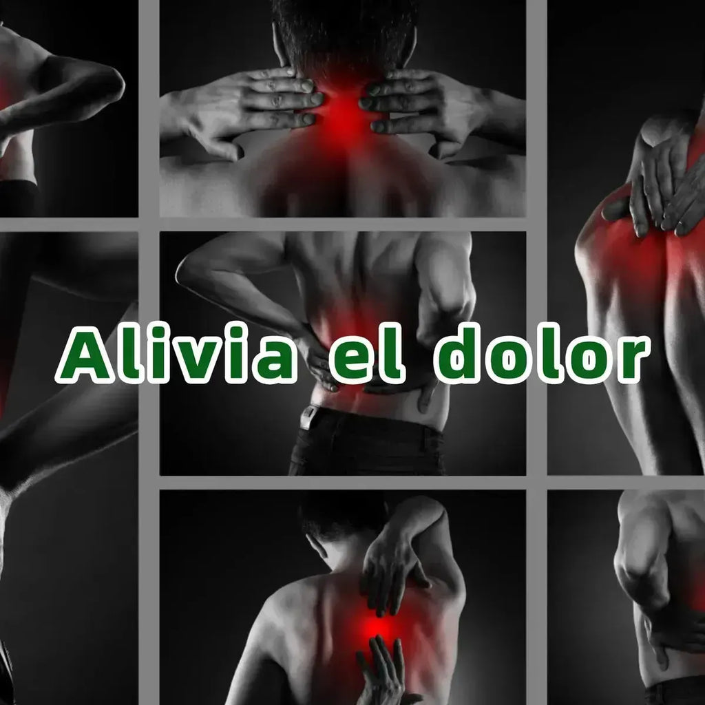 Parches Analgésicos de Ajenjo Natural – Dolor de Espalda y Lumbar, 10 Unidades